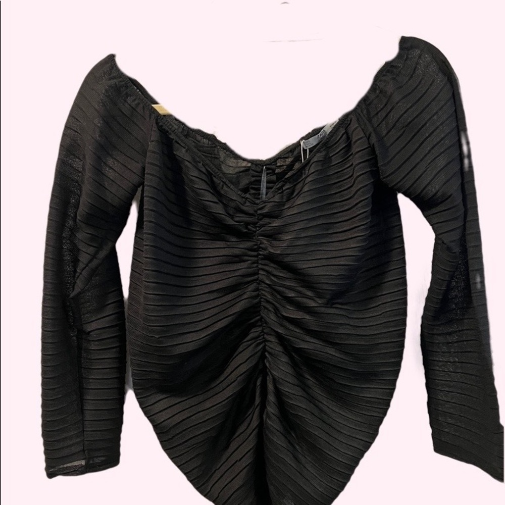 Zara Off the Shoulder Sheer Crop Top